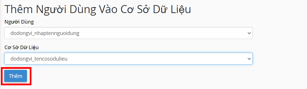 Hướng dẫn cài Theme (Mẫu giao diện) lên hosting với Duplicator 11 Thêm người dùng vào cơ sở dữ liệu